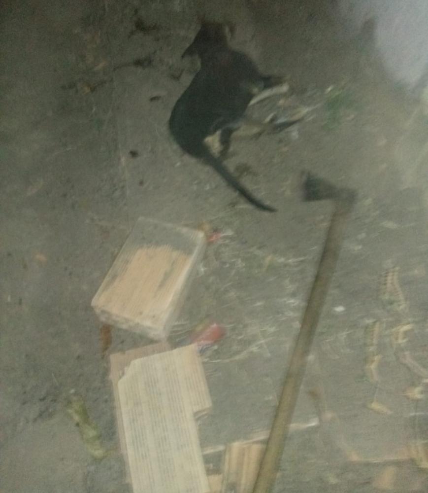 Ele foi encaminhado para a delegacia de Polícia Civil de Montes Claros, juntamente com o machado usado no crime. 