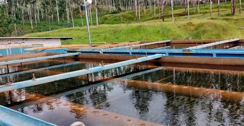 Sistema Rio de Peixe