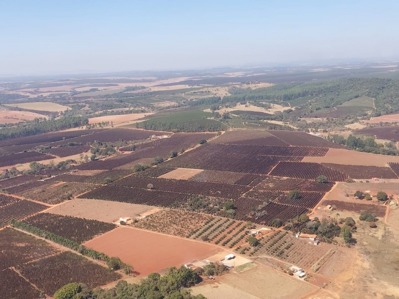 Seapa / Divulgação