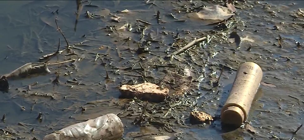 Prefeitura de BH processa Copasa por lançamento de esgoto na Lagoa da Pampulha