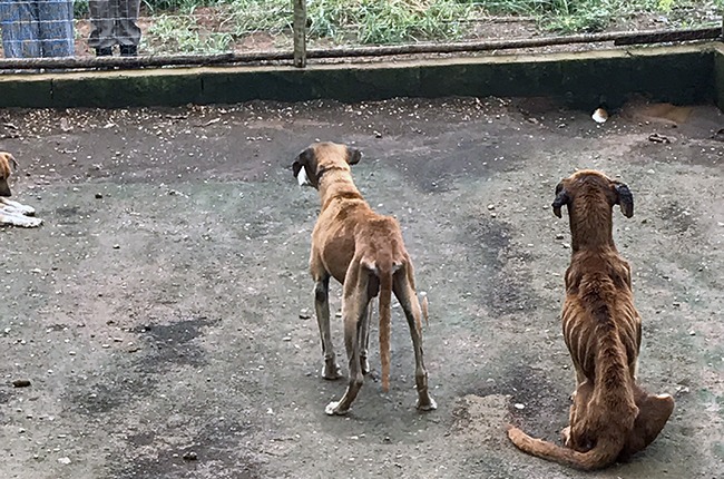 Foto Divulgação MPMG