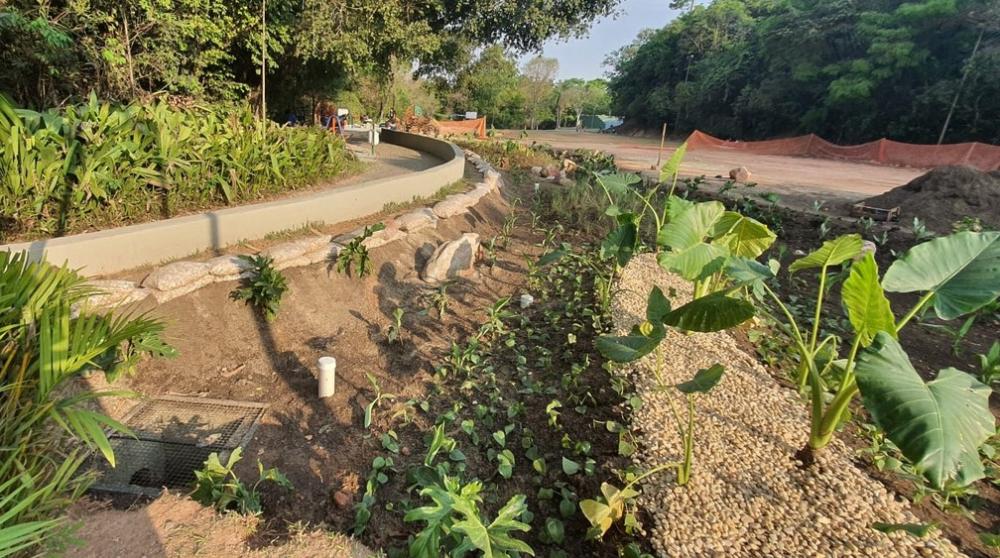 Iniciativa contra enchentes, jardins de chuva serão concluídos nesta semana em BH e Contagem