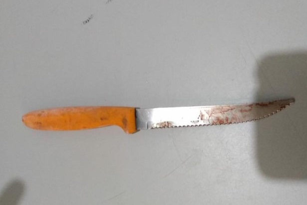 PM prende mulher que matou companheiro com facada no pescoço por causa de pensão no Conjunto Paulo VI em BH