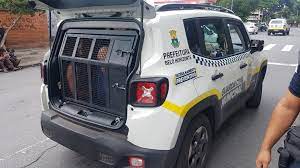 Guarda Municipal de BH fará ação contra importunação sexual no Mineirão