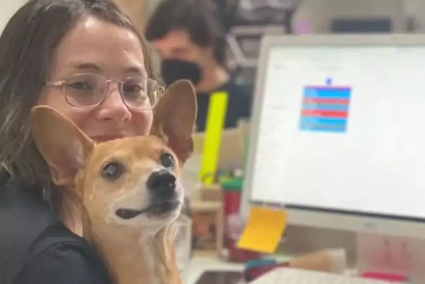 Assustado com fogos, cãozinho foge e é encontrado perto do trabalho da dona