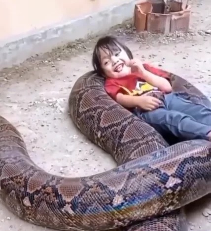 Foto: Reprodução/Instagram