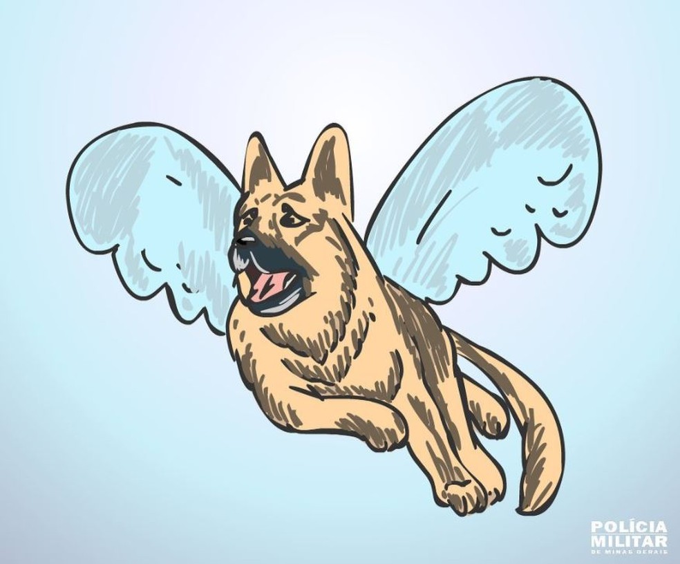 Cão da PM agredido durante ocorrência morre em BH