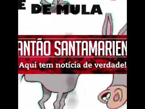 No Plantão Santamariese você tem VOZ; COICE DE MULA